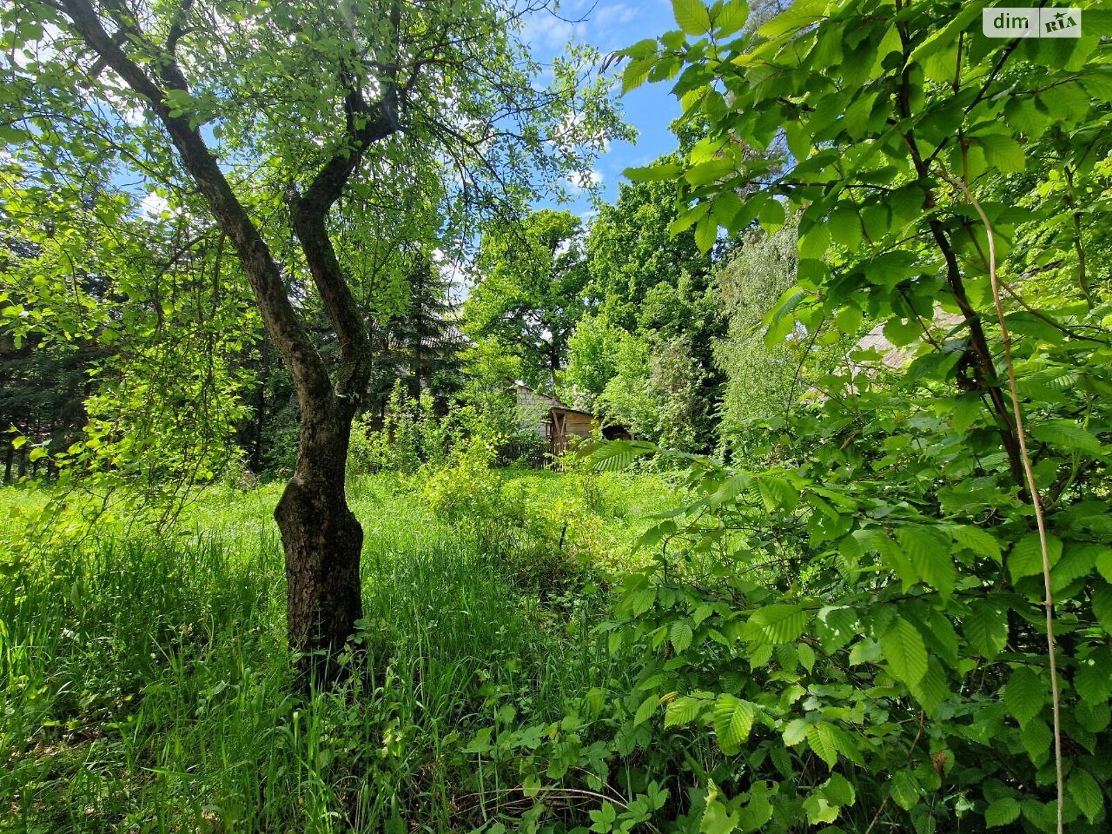 одноповерховий будинок з верандою, 100.5 кв. м, цегла саманна. Продаж у Клавдієво-Тарасовому фото 1 одноповерховий будинок з верандою, 100.5 кв. м, цегла саманна. Продаж у Клавдієво-Тарасовому фото 1