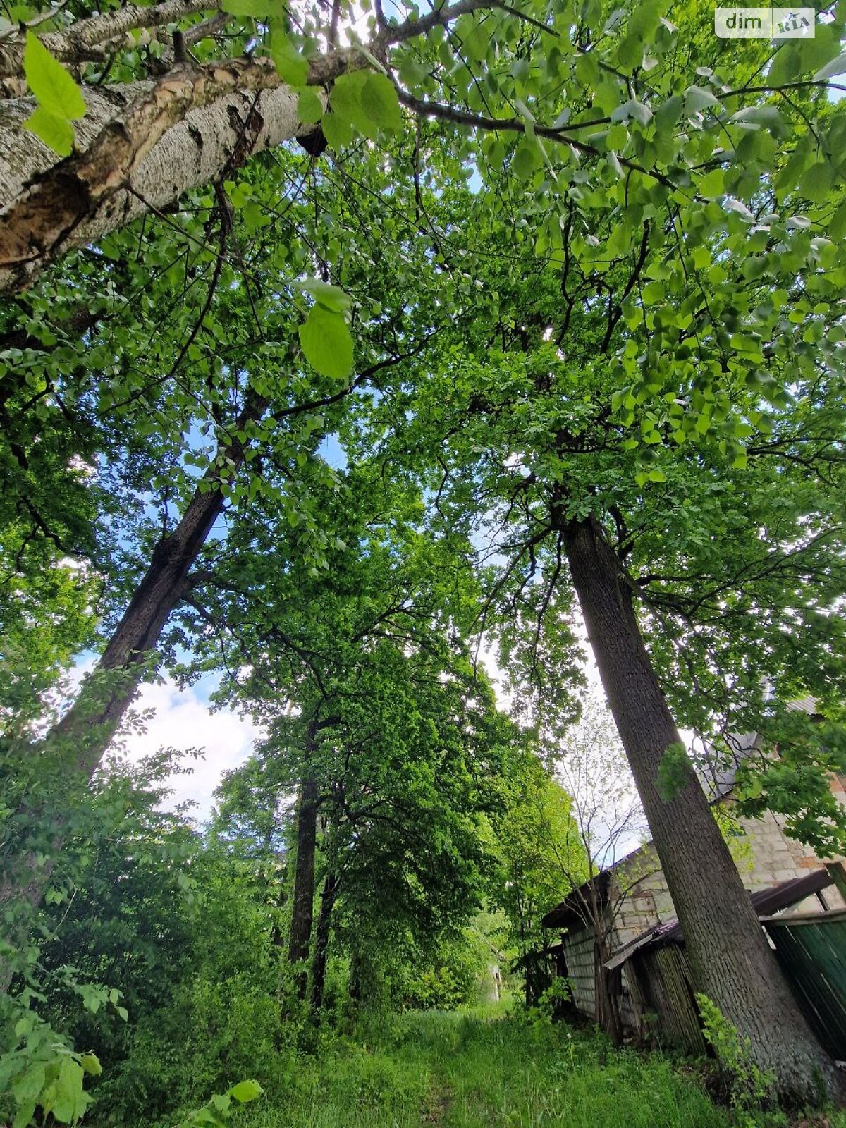 одноповерховий будинок з верандою, 100.5 кв. м, глинобитний. Продаж у Клавдієво-Тарасовому фото 1 одноповерховий будинок з верандою, 100.5 кв. м, глинобитний. Продаж у Клавдієво-Тарасовому фото 1