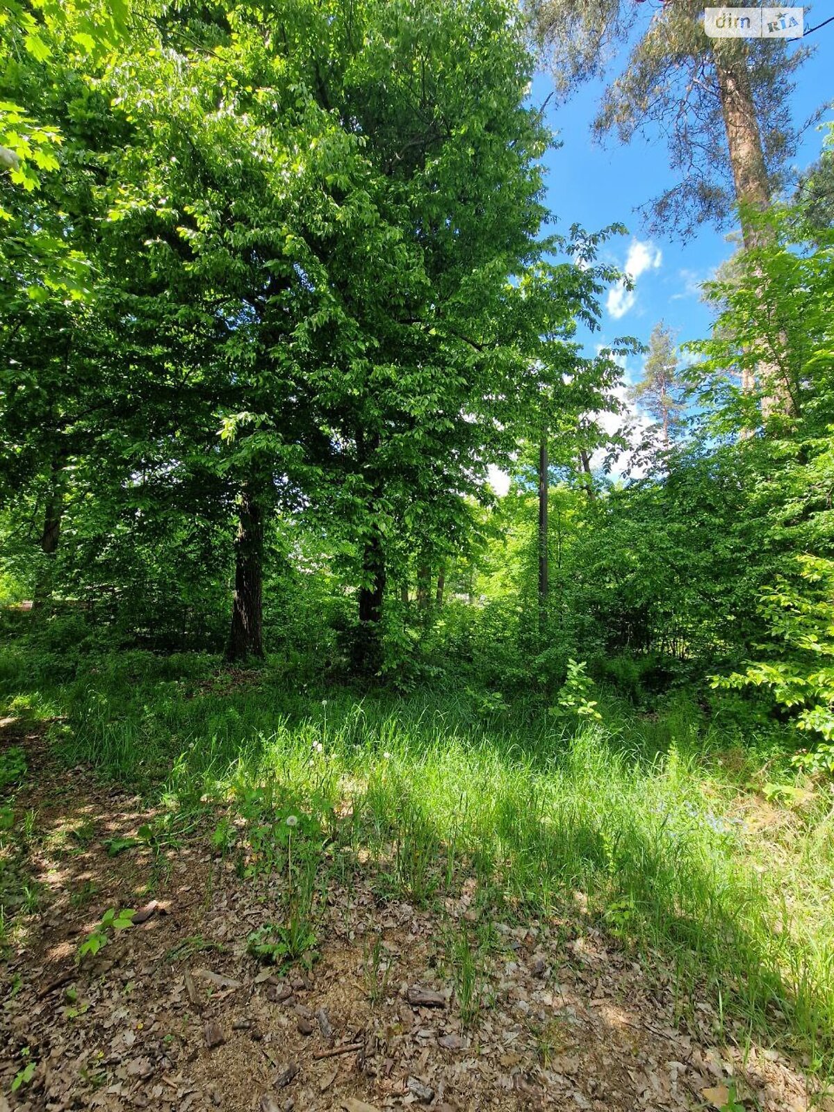 одноповерховий будинок з верандою, 100.5 кв. м, глинобитний. Продаж у Клавдієво-Тарасовому фото 1 одноповерховий будинок з верандою, 100.5 кв. м, глинобитний. Продаж у Клавдієво-Тарасовому фото 1