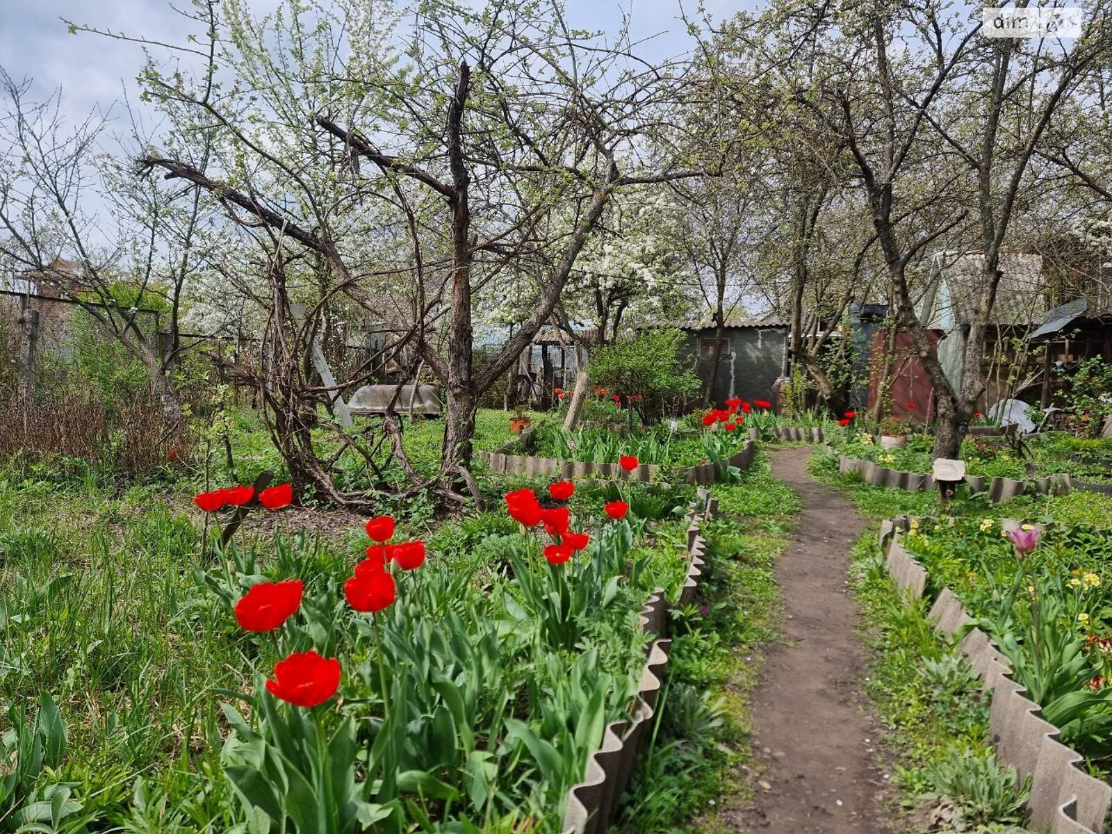 одноповерховий будинок з гаражем, 40.5 кв. м, цегла. Продаж у Клавдієво-Тарасовому фото 1