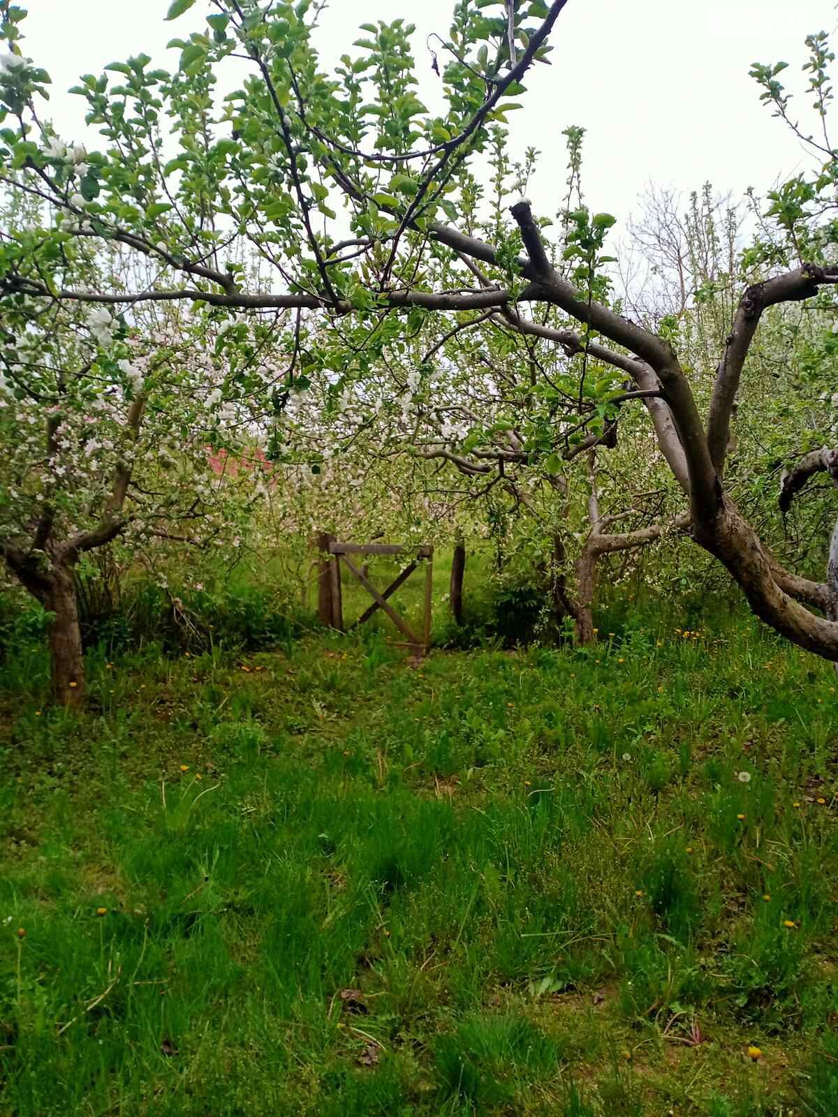 одноповерховий будинок з гаражем, 78 кв. м, глинобитний. Продаж у Кліщові фото 1