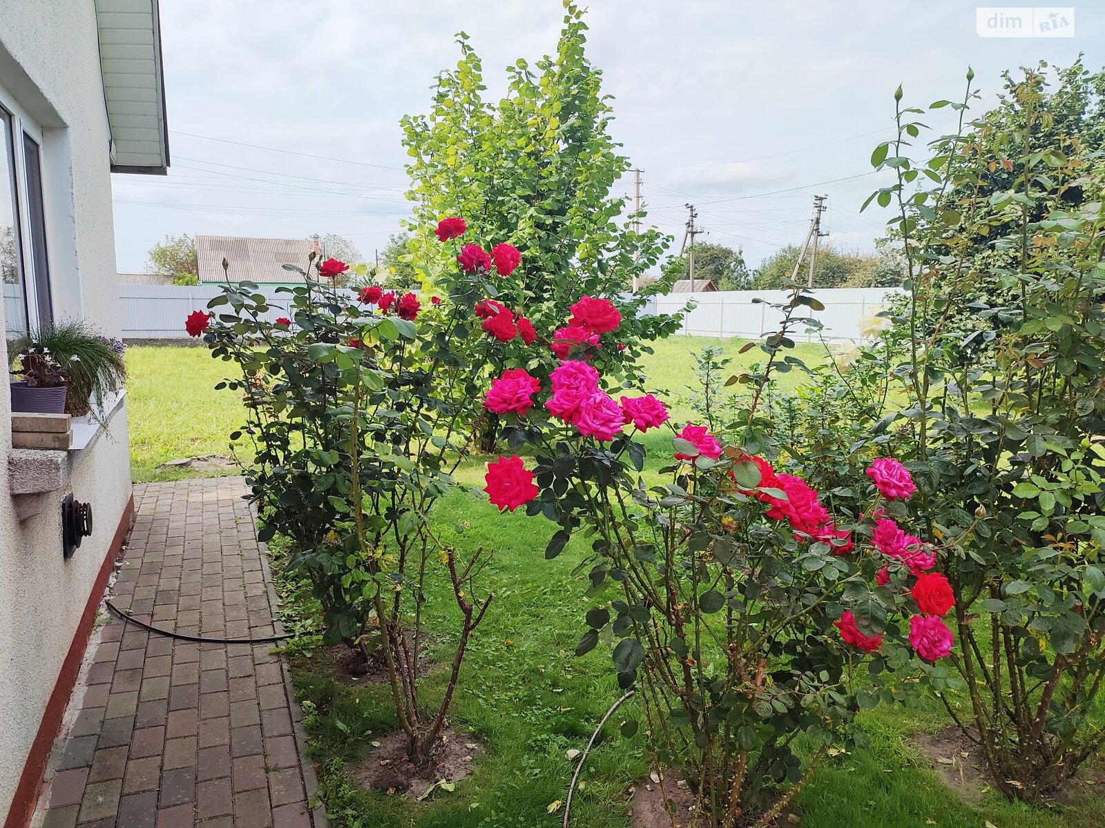 двоповерховий будинок з гаражем, 260.5 кв. м, цегла. Продаж у Клевані фото 1