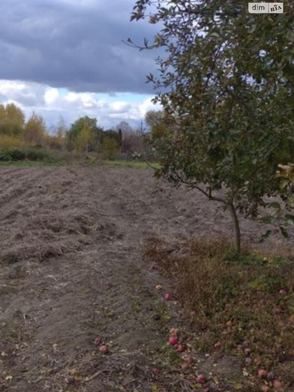 одноповерховий будинок з меблями, 49 кв. м, зруб. Продаж у Клочкові фото 1 одноповерховий будинок з меблями, 49 кв. м, зруб. Продаж у Клочкові фото 1