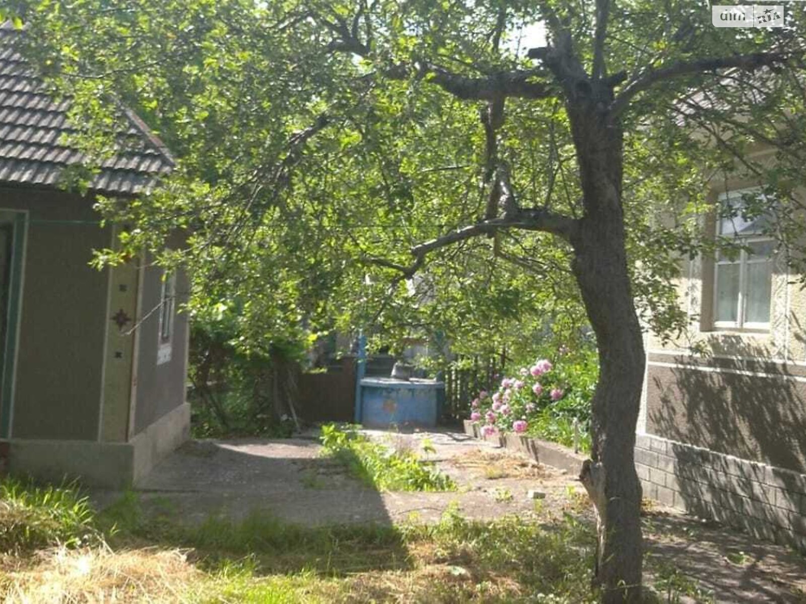 одноповерховий будинок, 44.9 кв. м, цегла. Продаж у Княгинині фото 1 одноповерховий будинок, 44.9 кв. м, цегла. Продаж у Княгинині фото 1