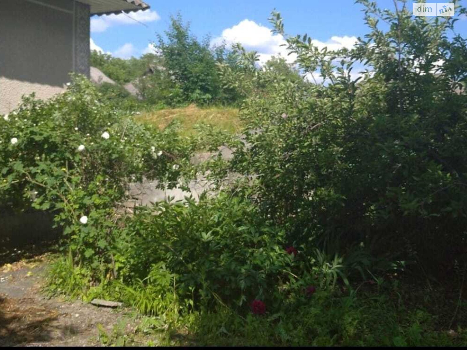 одноповерховий будинок, 44.9 кв. м, цегла. Продаж у Княгинині фото 1 одноповерховий будинок, 44.9 кв. м, цегла. Продаж у Княгинині фото 1