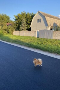 двоповерховий будинок з гаражем, 100 кв. м, цегла. Продаж у Кодні фото 2