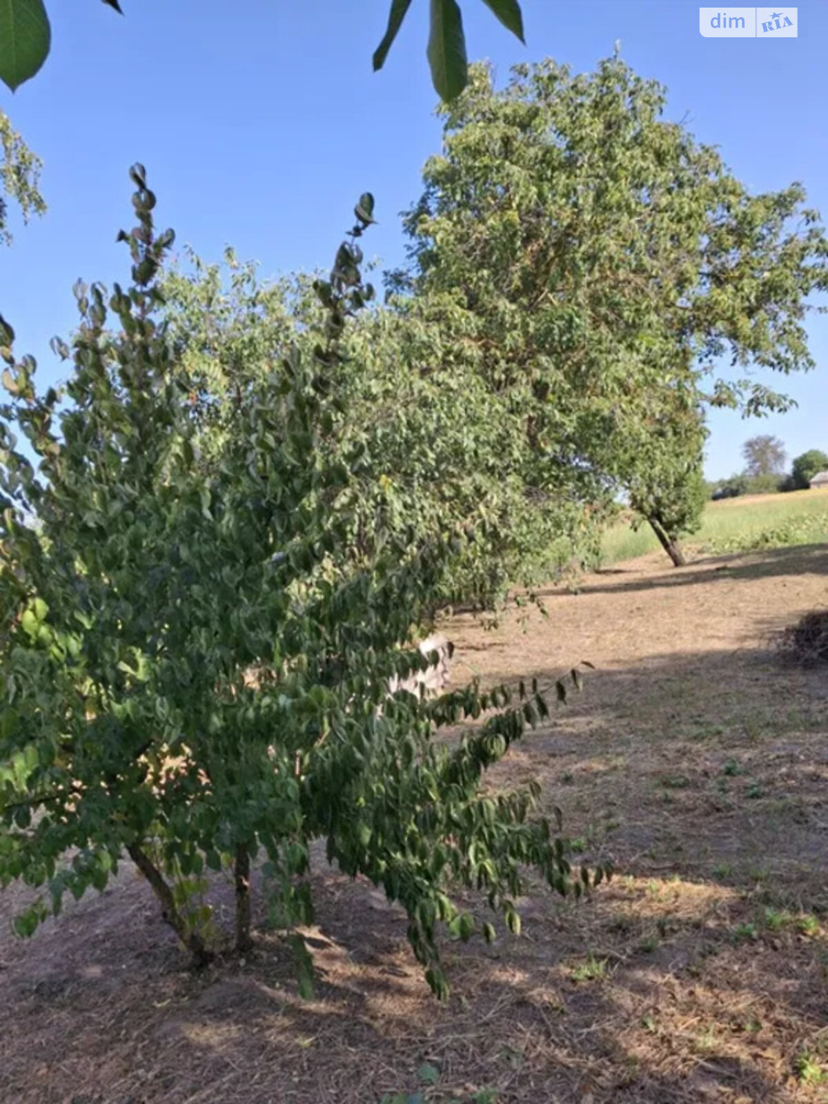 одноэтажный дом с гаражом, 77 кв. м, кирпич. Продажа в Колесниках фото 1