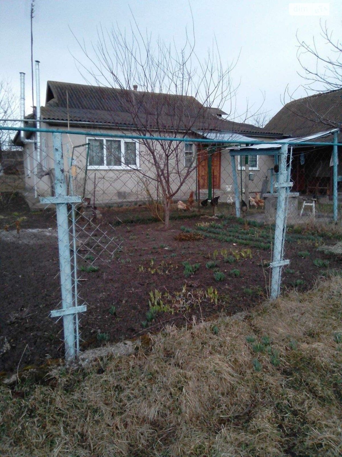 одноповерховий будинок, 100 кв. м, шлакоблок. Продаж у Колибані фото 1