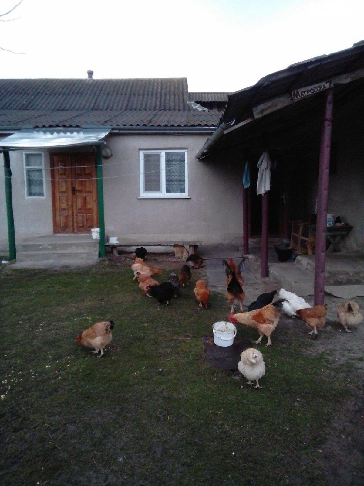 одноповерховий будинок, 100 кв. м, шлакоблок. Продаж у Колибані фото 1