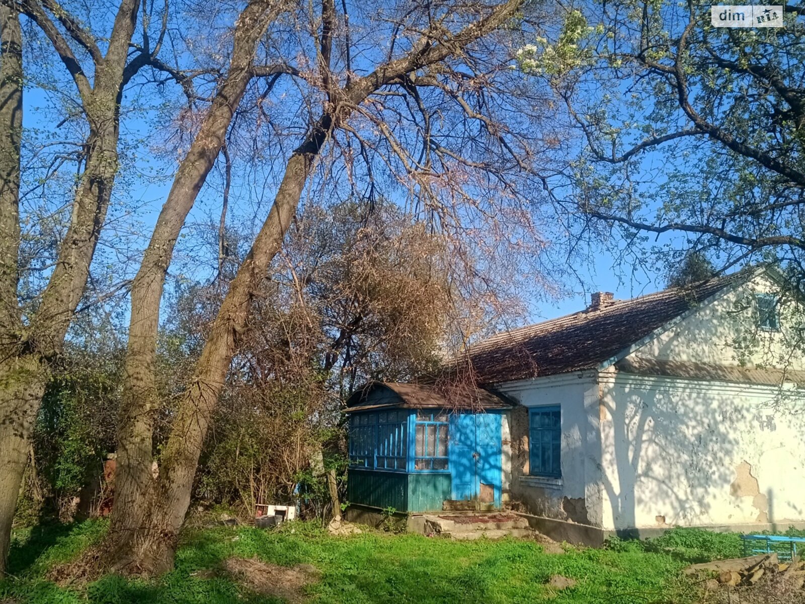 одноэтажный дом с верандой, 76 кв. м, глинобитный. Продажа в Колосовой фото 1 одноэтажный дом с верандой, 76 кв. м, глинобитный. Продажа в Колосовой фото 1