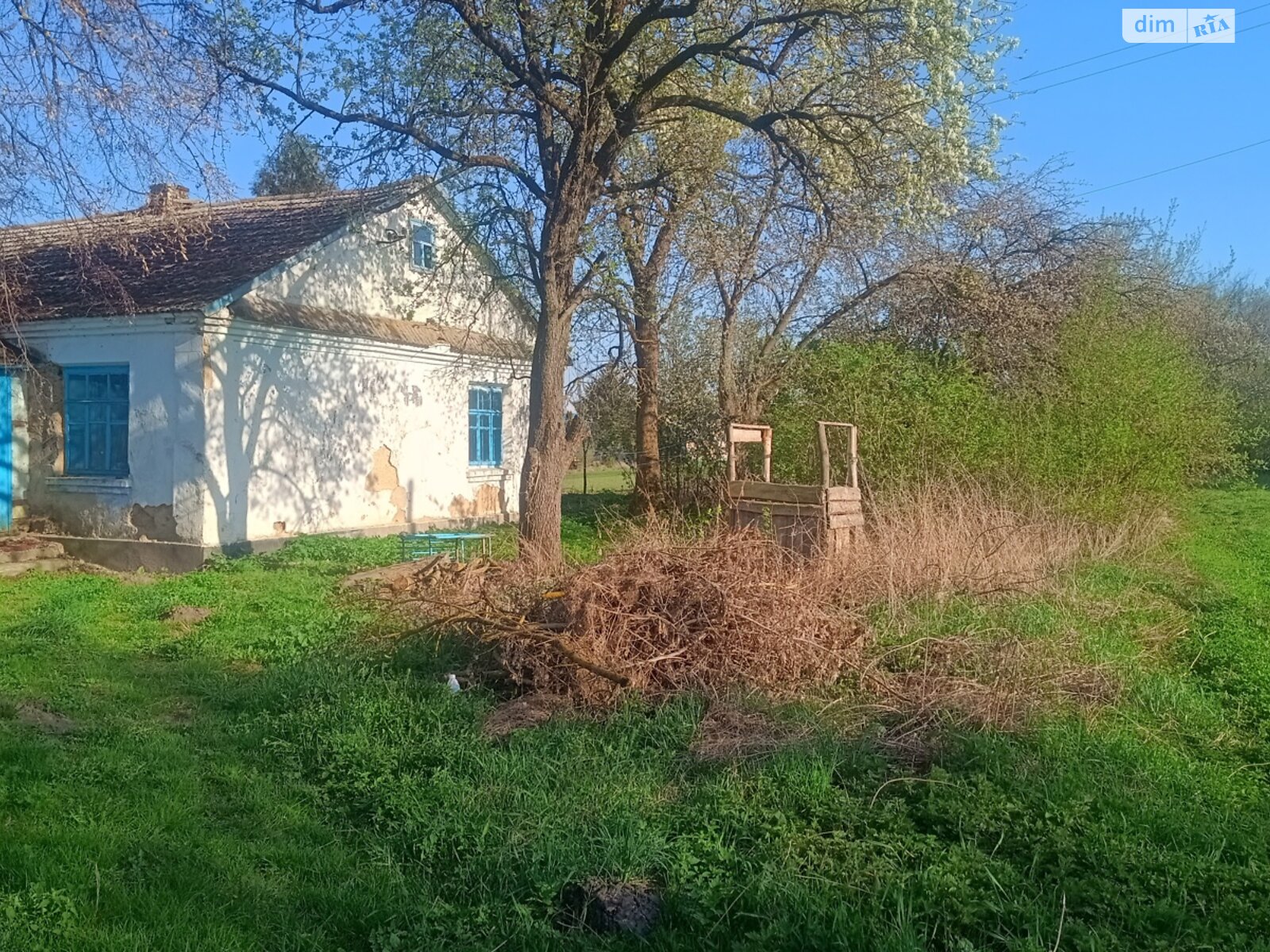 одноэтажный дом с верандой, 76 кв. м, глинобитный. Продажа в Колосовой фото 1 одноэтажный дом с верандой, 76 кв. м, глинобитный. Продажа в Колосовой фото 1