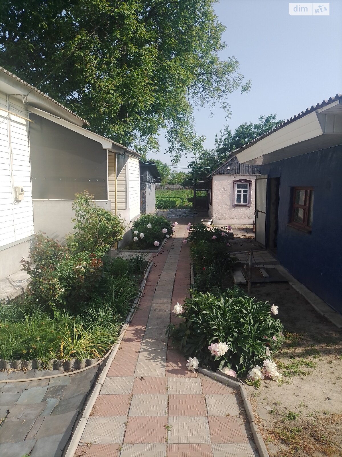 одноповерховий будинок з гаражем, 66872 кв. м, брус. Продаж в Конотопі, район Конотоп фото 1 одноповерховий будинок з гаражем, 66872 кв. м, брус. Продаж в Конотопі, район Конотоп фото 1