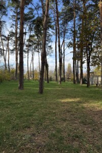 двоповерховий будинок, 56.7 кв. м, зруб. Продаж у Копачівці фото 2 двоповерховий будинок, 56.7 кв. м, зруб. Продаж у Копачівці фото 2