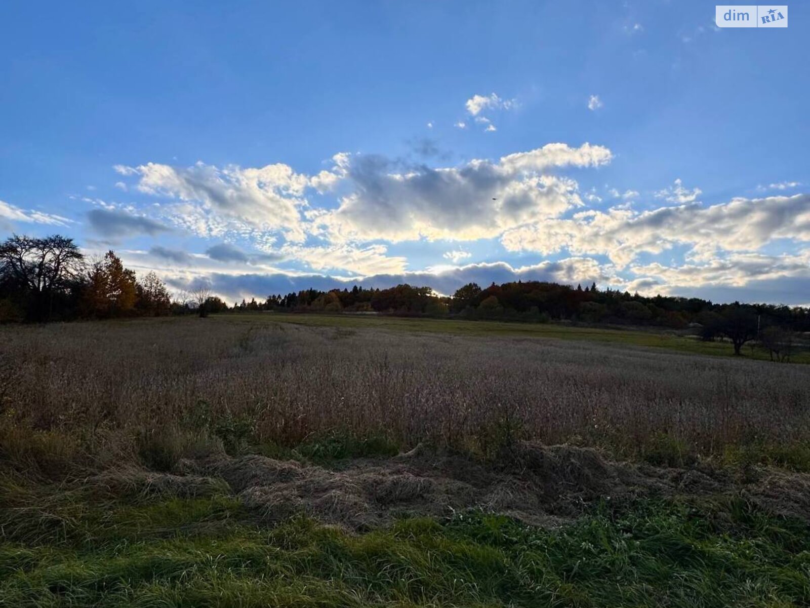 одноповерховий будинок з опаленням, 60 кв. м, дерево та цегла. Продаж у Копачівці фото 1