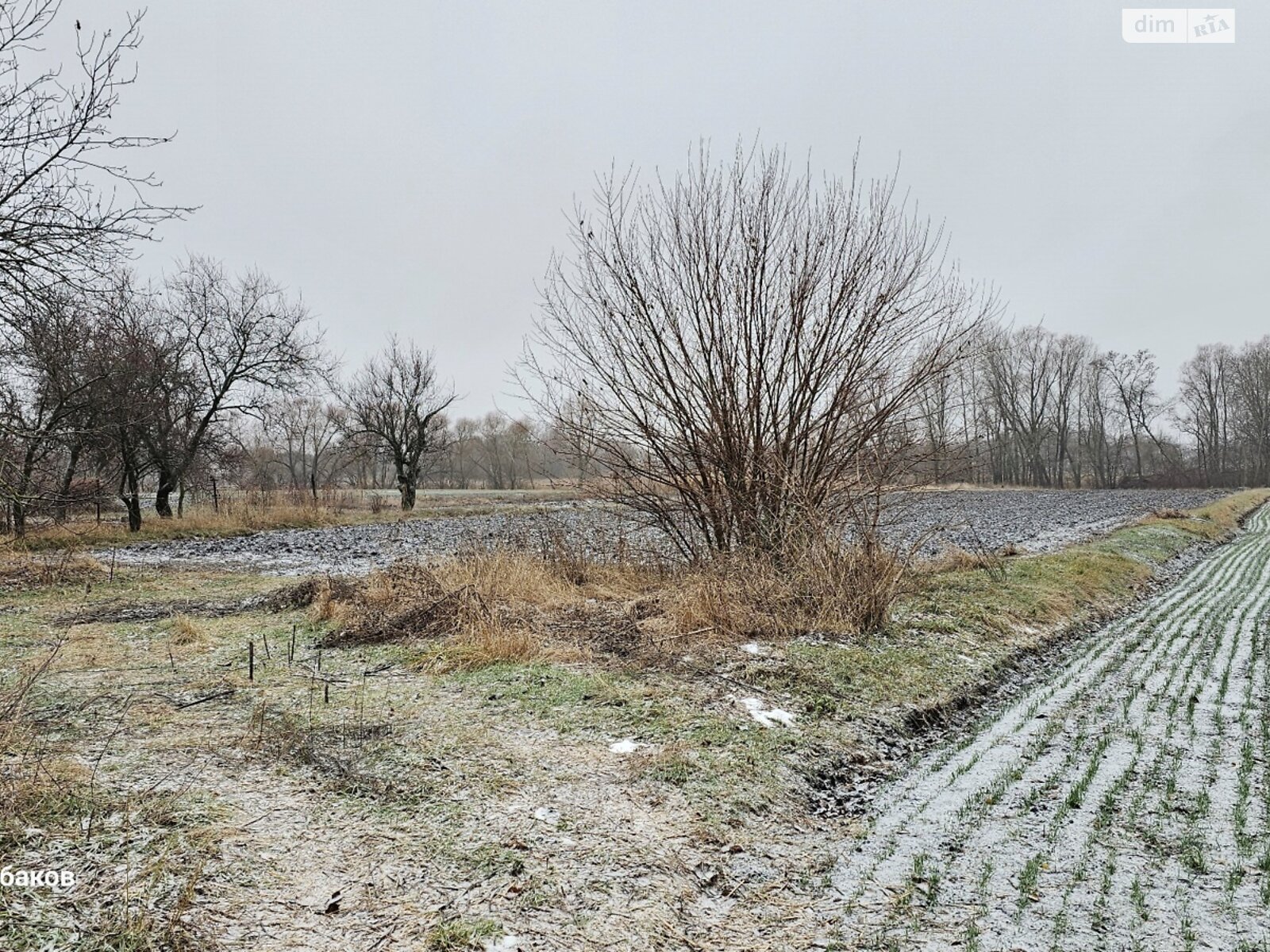 одноповерховий будинок з гаражем, 56.6 кв. м, цегла саманна. Продаж у Коптевичівці фото 1