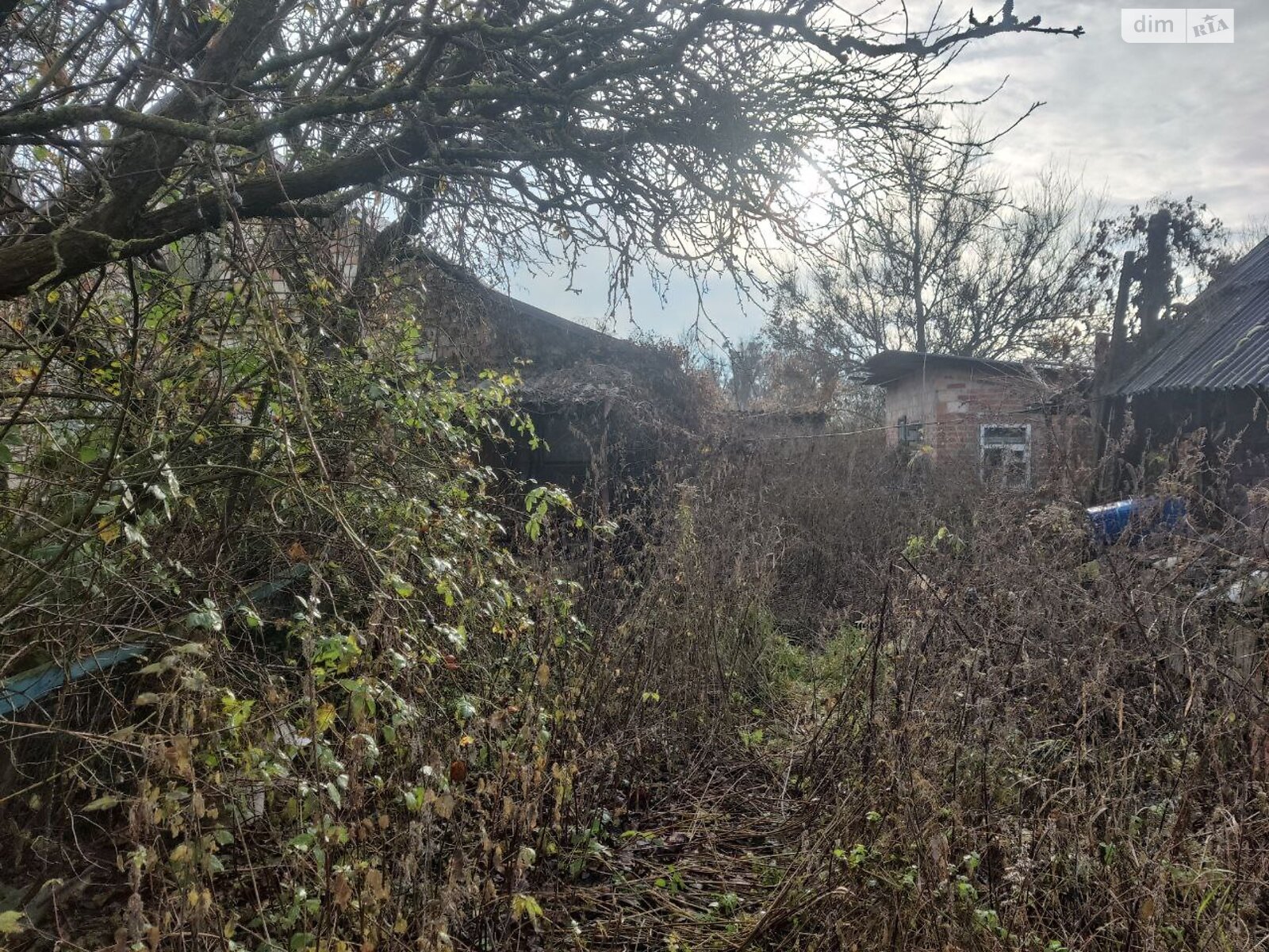 одноповерховий будинок, 75 кв. м, дерево та цегла. Продаж у Копилові фото 1