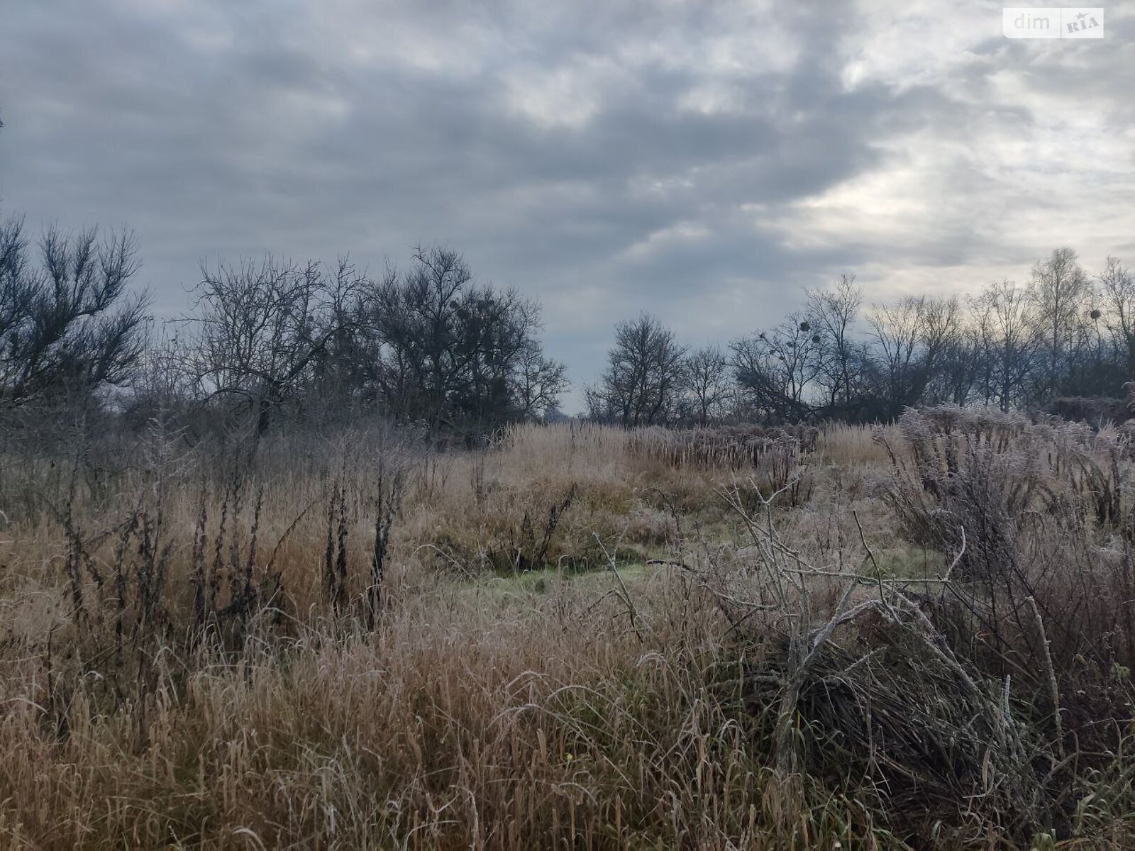 одноповерховий будинок, 75 кв. м, дерево та цегла. Продаж у Копилові фото 1