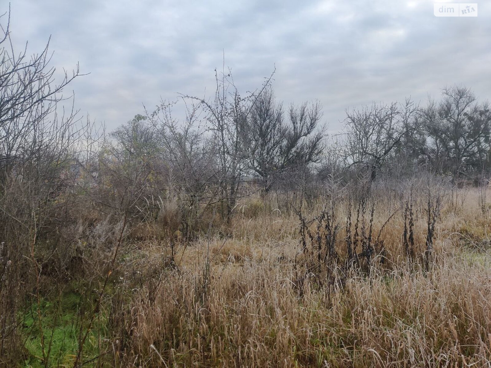 одноповерховий будинок, 75 кв. м, дерево та цегла. Продаж у Копилові фото 1