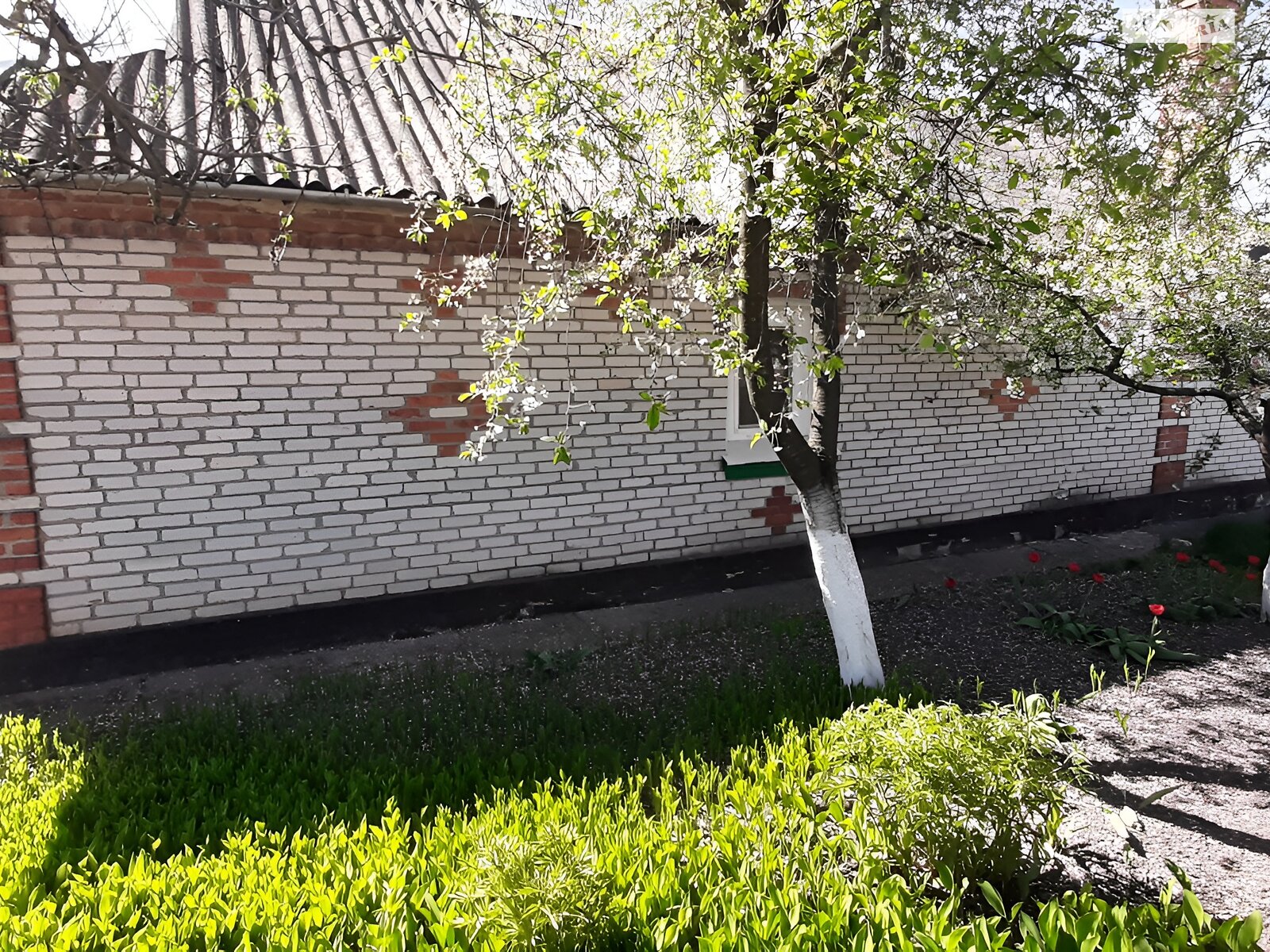 одноповерховий будинок, 78 кв. м, цегла. Продаж у Корделівці фото 1 одноповерховий будинок, 78 кв. м, цегла. Продаж у Корделівці фото 1