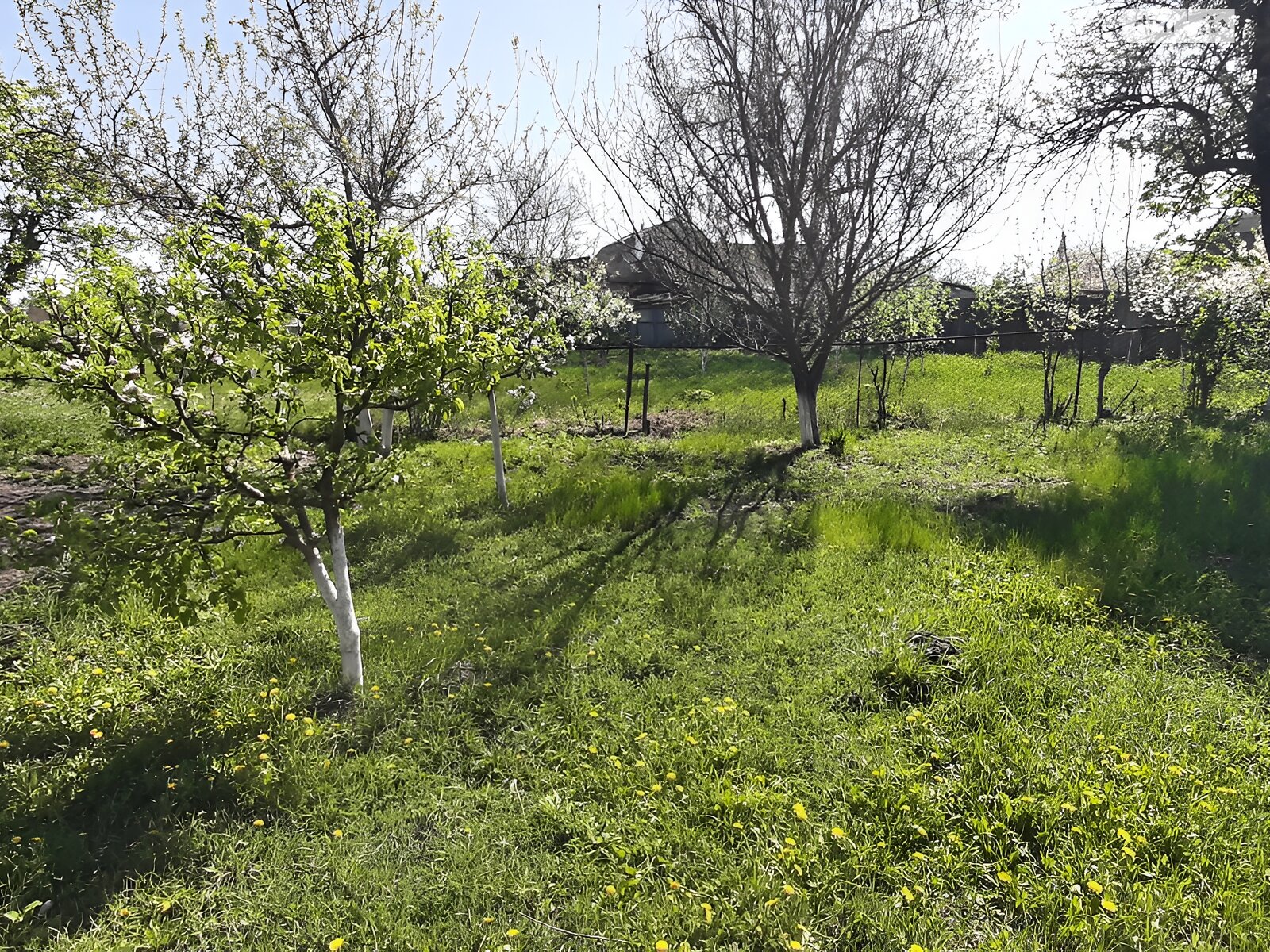 одноповерховий будинок, 78 кв. м, цегла. Продаж у Корделівці фото 1 одноповерховий будинок, 78 кв. м, цегла. Продаж у Корделівці фото 1