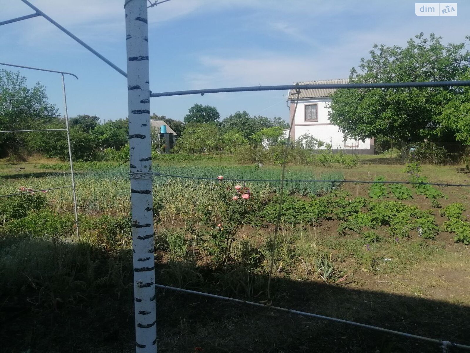 двухэтажный дом с верандой, 134 кв. м, ракушечник (ракушняк). Продажа в Кордоне фото 1