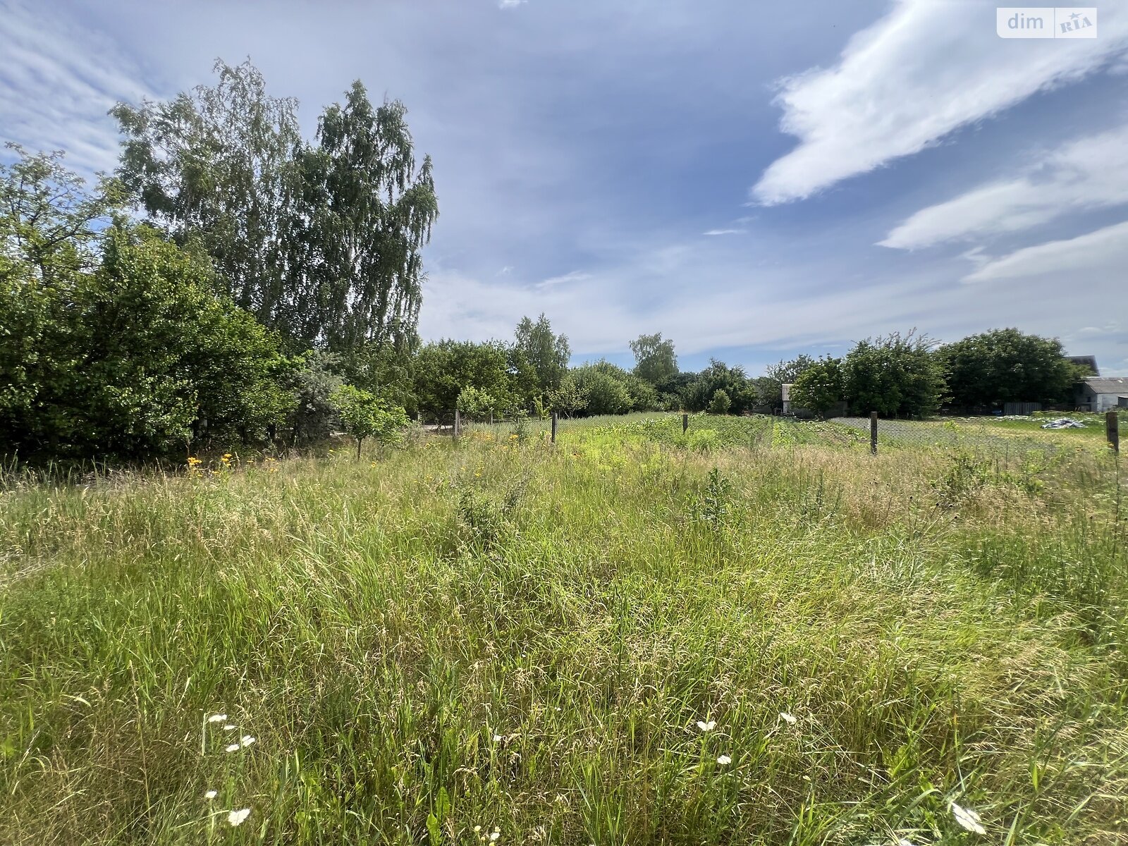 одноповерховий будинок з верандою, 104.2 кв. м, цегла. Продаж у Корніївці фото 1 одноповерховий будинок з верандою, 104.2 кв. м, цегла. Продаж у Корніївці фото 1