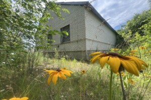 одноповерховий будинок з верандою, 104.2 кв. м, цегла. Продаж у Корніївці фото 2 одноповерховий будинок з верандою, 104.2 кв. м, цегла. Продаж у Корніївці фото 2