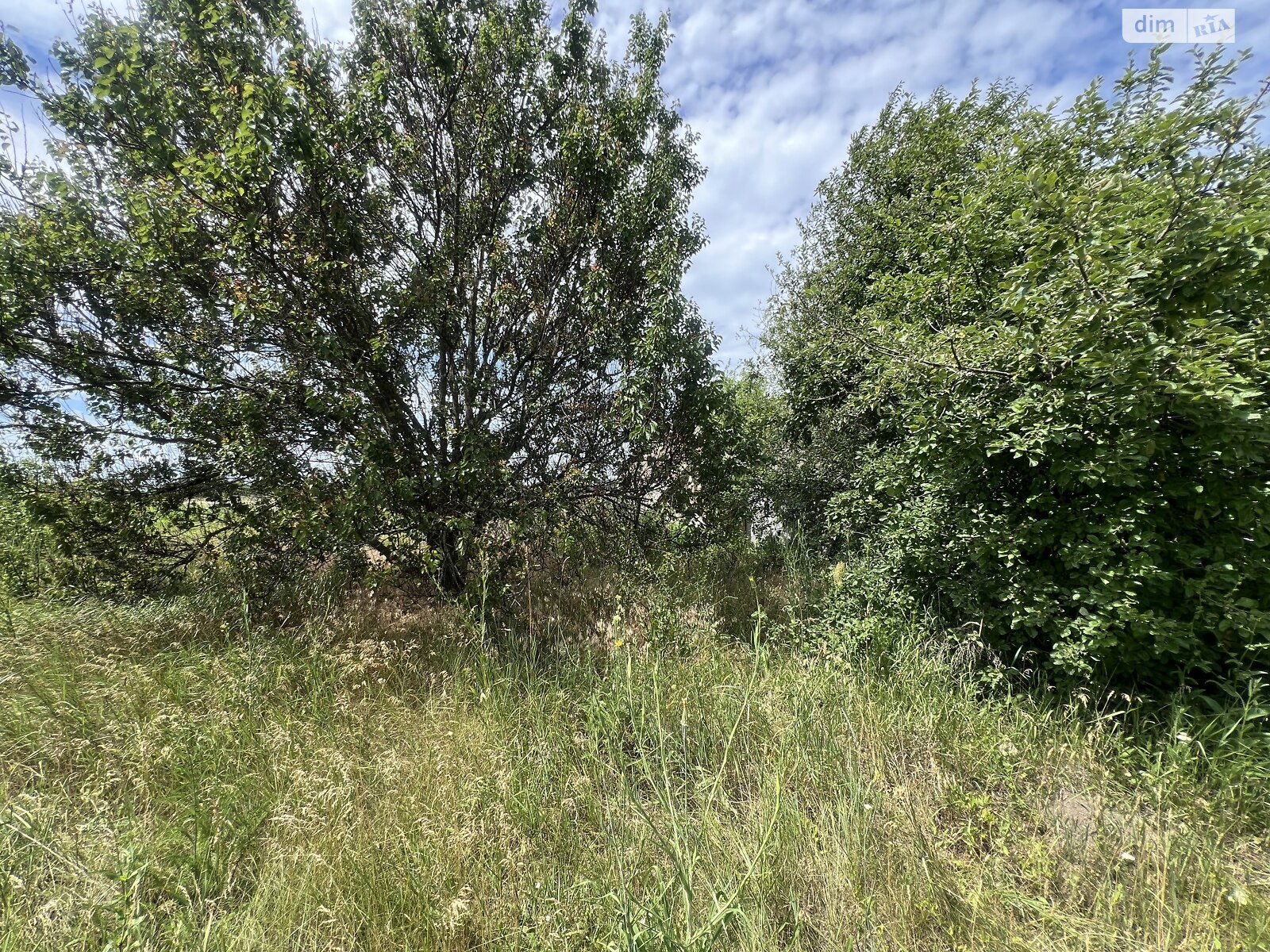 одноповерховий будинок з верандою, 104.2 кв. м, цегла. Продаж у Корніївці фото 1 одноповерховий будинок з верандою, 104.2 кв. м, цегла. Продаж у Корніївці фото 1