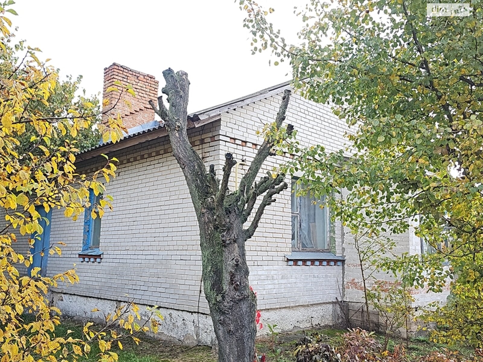 одноэтажный дом с верандой, 79.1 кв. м, кирпич. Продажа в Корнеевке фото 1 одноэтажный дом с верандой, 79.1 кв. м, кирпич. Продажа в Корнеевке фото 1