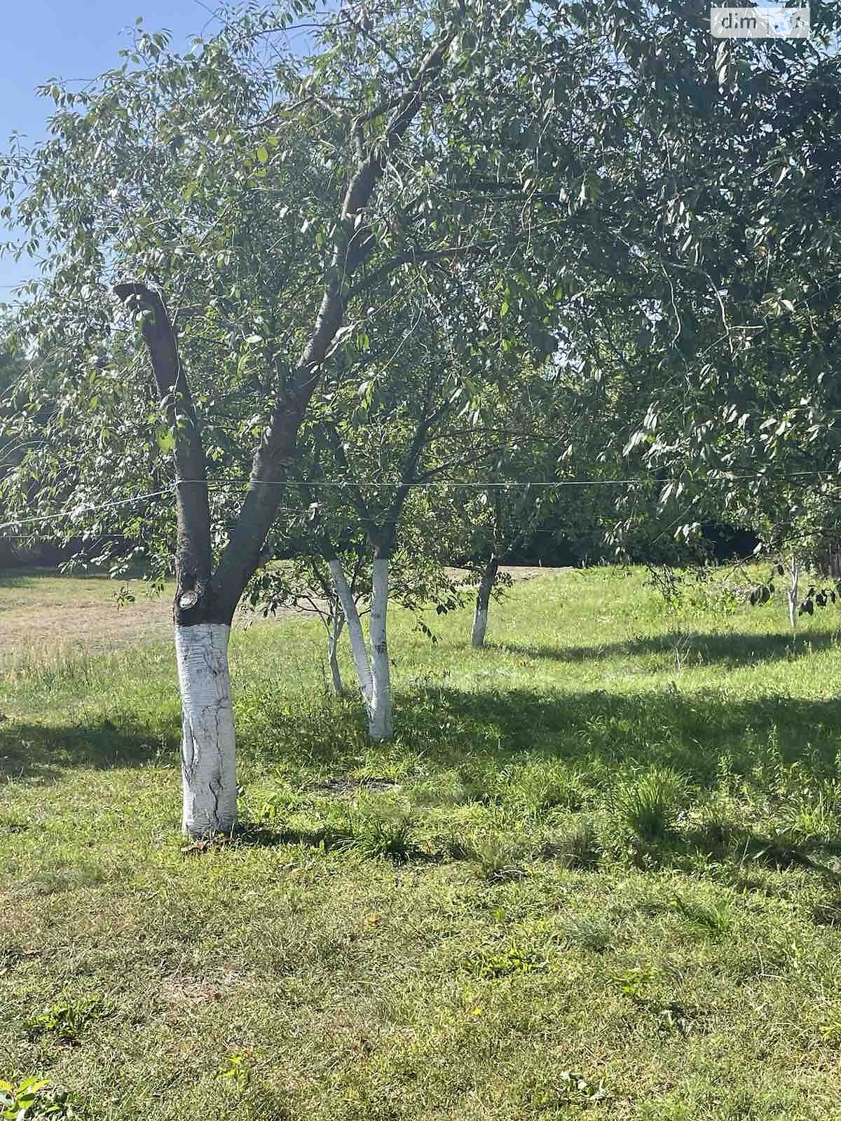 одноэтажный дом с ремонтом, 65.8 кв. м, кирпич. Продажа в Корнине фото 1 одноэтажный дом с ремонтом, 65.8 кв. м, кирпич. Продажа в Корнине фото 1