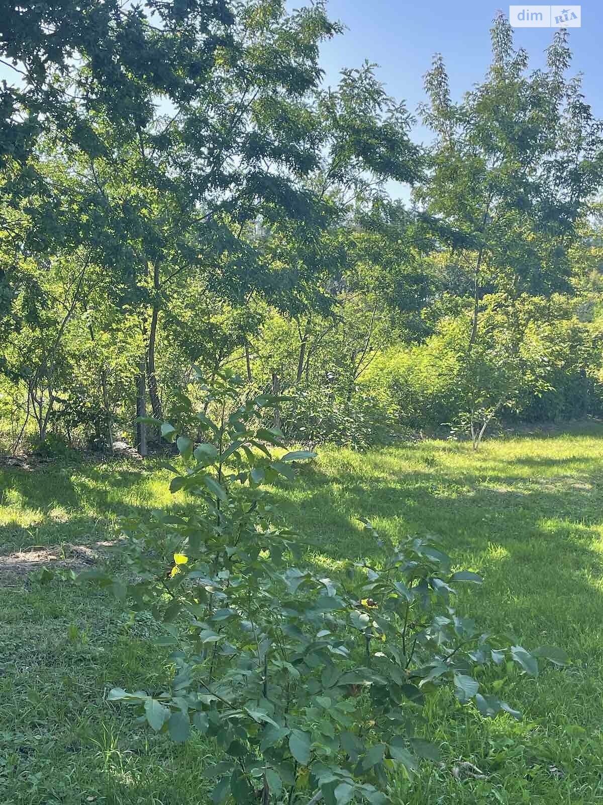 одноэтажный дом с ремонтом, 65.8 кв. м, кирпич. Продажа в Корнине фото 1 одноэтажный дом с ремонтом, 65.8 кв. м, кирпич. Продажа в Корнине фото 1