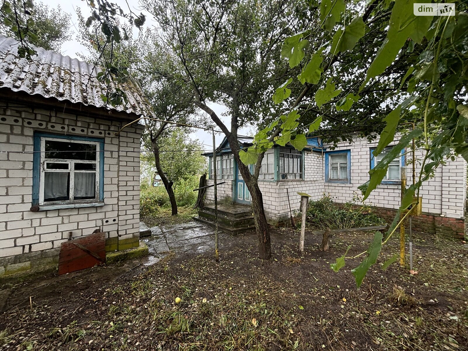 одноповерховий будинок, 52.5 кв. м, цегла. Продаж у Короп’ї фото 1