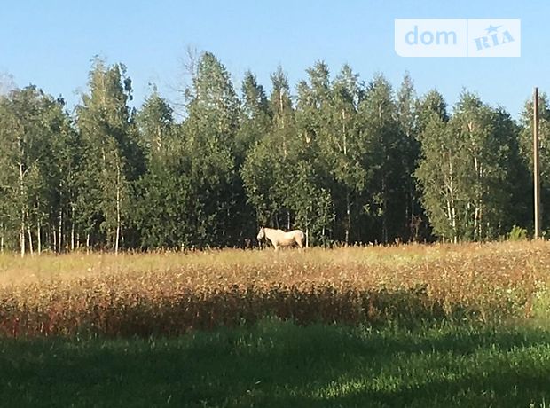 Продажа дома, 50м², Житомирская, Коростень Продажа дома, 50м², Житомирская, Коростень