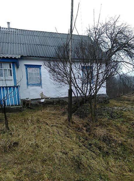 одноэтажный дом с садом, 68 кв. м, дерево и кирпич. Продажа в Козеевке фото 1 одноэтажный дом с садом, 68 кв. м, дерево и кирпич. Продажа в Козеевке фото 1