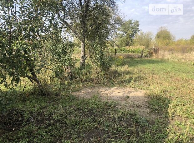 одноэтажный дом с садом, 30 кв. м, кирпич. Продажа в Великих Кошарищах фото 1 одноэтажный дом с садом, 30 кв. м, кирпич. Продажа в Великих Кошарищах фото 1