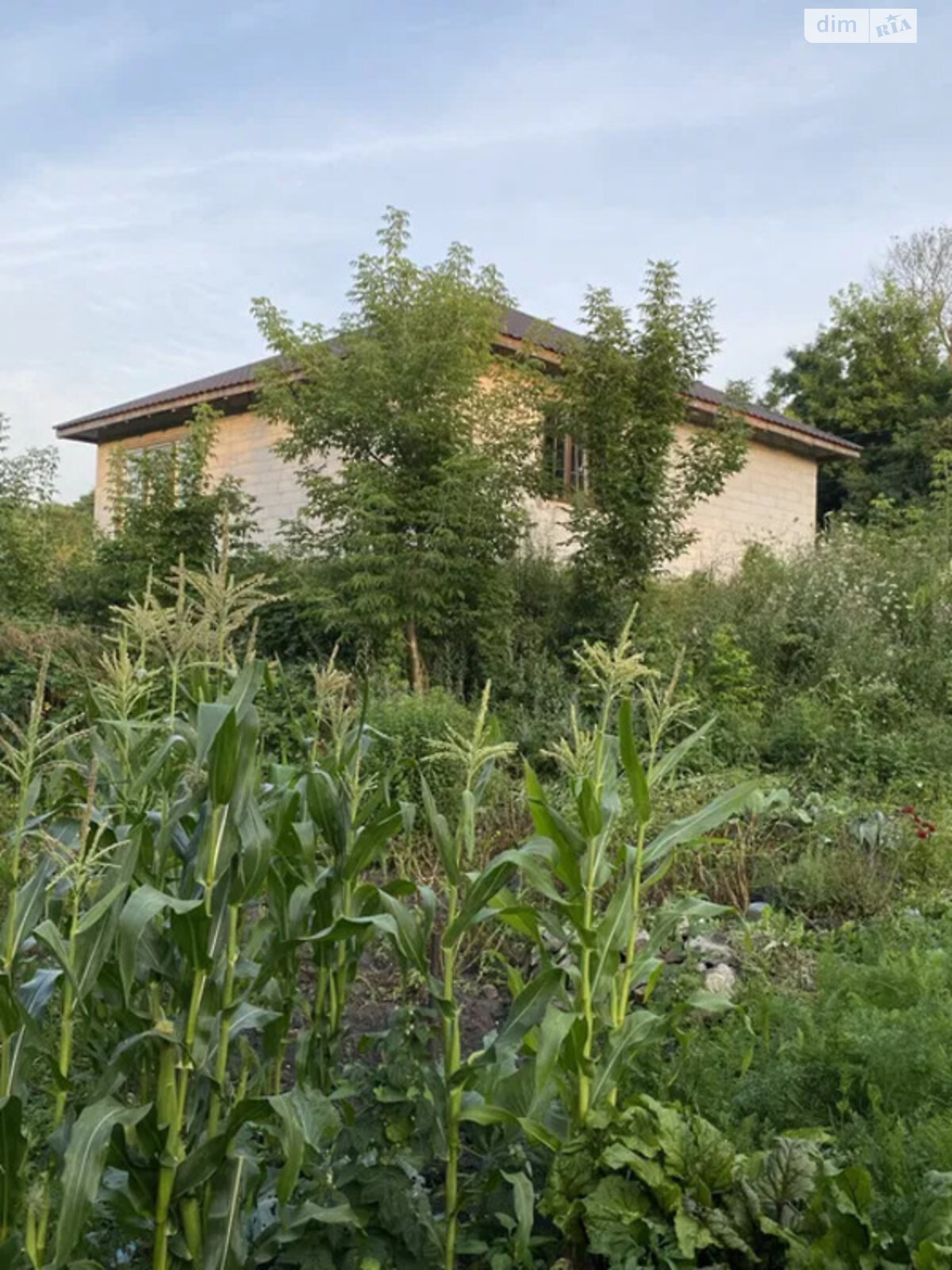 одноэтажный дом, 80 кв. м, газобетон. Продажа в Коростышеве фото 1