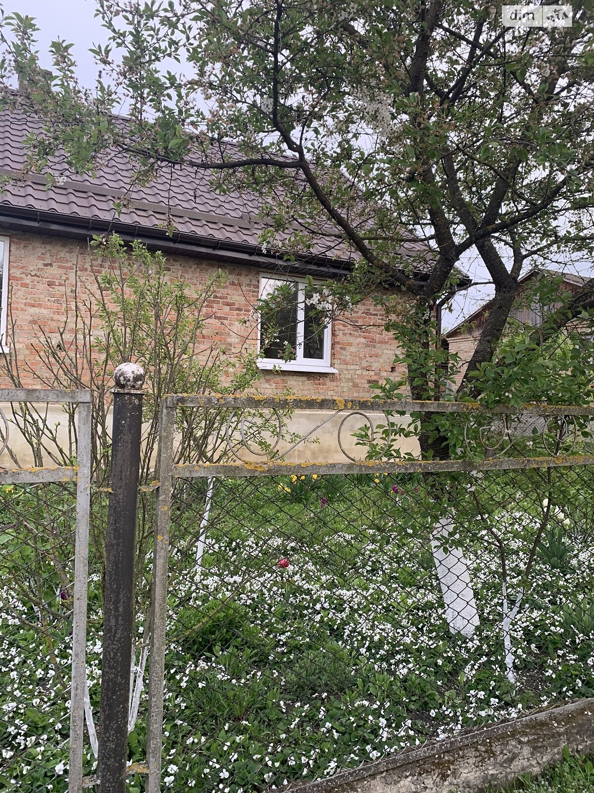 одноповерховий будинок, 110.2 кв. м, цегла. Продаж у Коршеві фото 1 одноповерховий будинок, 110.2 кв. м, цегла. Продаж у Коршеві фото 1