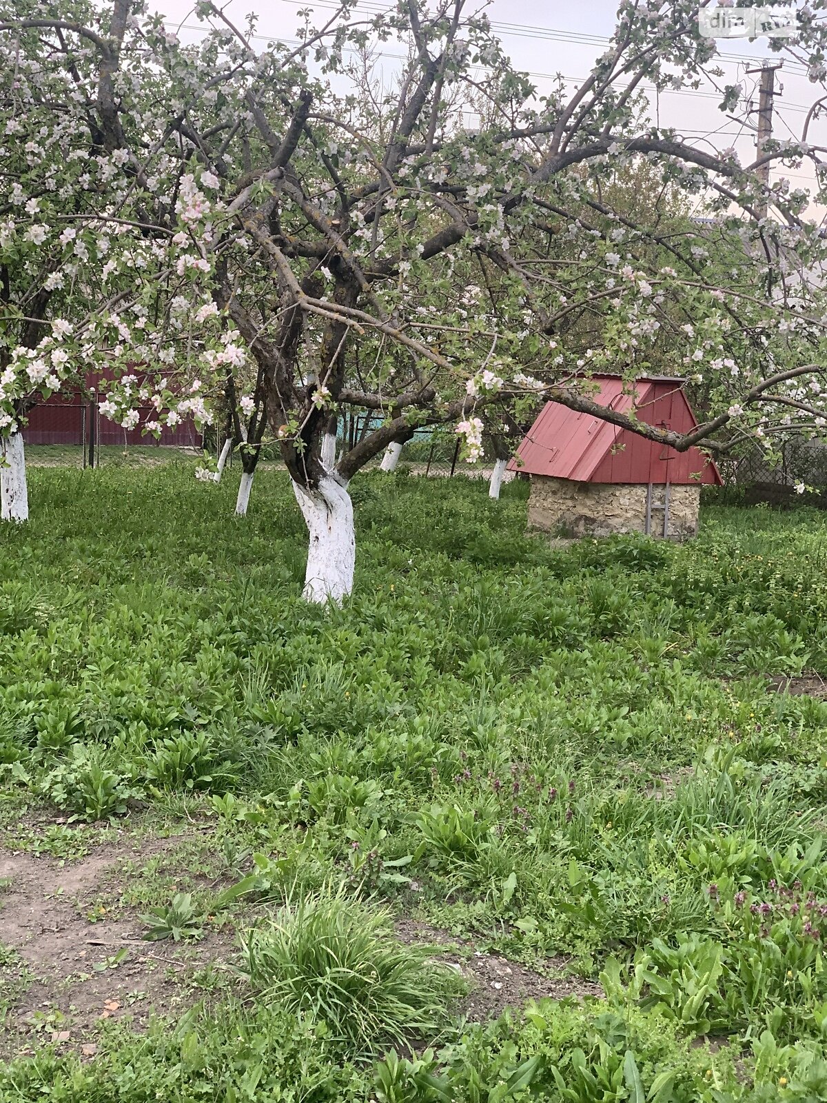одноповерховий будинок, 110.2 кв. м, цегла. Продаж у Коршеві фото 1 одноповерховий будинок, 110.2 кв. м, цегла. Продаж у Коршеві фото 1