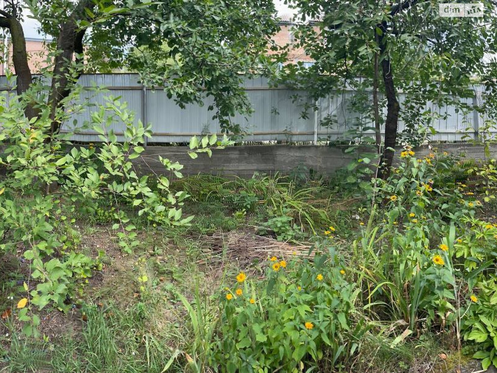одноповерховий будинок з верандою, 55.1 кв. м, глинобитний. Продаж в Корсуні-Шевченківському, район Корсунь-Шевченківський фото 1 одноповерховий будинок з верандою, 55.1 кв. м, глинобитний. Продаж в Корсуні-Шевченківському, район Корсунь-Шевченківський фото 1