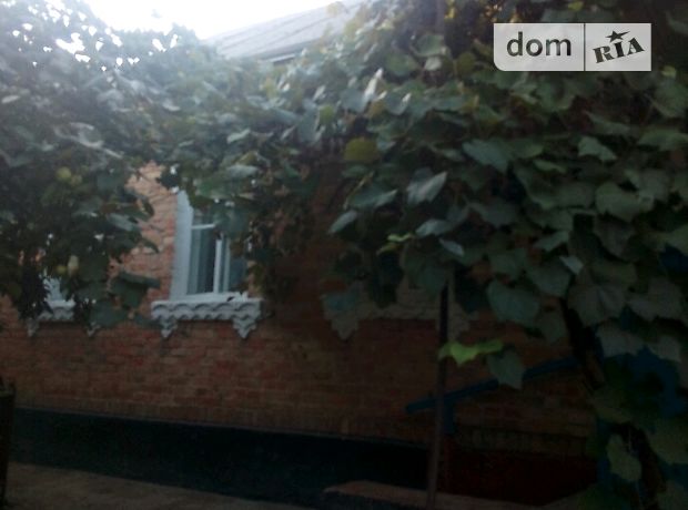 одноэтажный дом, 102.6 кв. м, кирпич. Продажа в Николаевке (Черкасская обл.) фото 1 одноэтажный дом, 102.6 кв. м, кирпич. Продажа в Николаевке (Черкасская обл.) фото 1