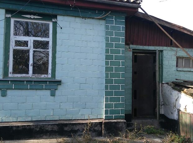 одноэтажный дом с садом, 53 кв. м, глинобитный. Продажа в Селище (Черкасская обл.) фото 1 одноэтажный дом с садом, 53 кв. м, глинобитный. Продажа в Селище (Черкасская обл.) фото 1