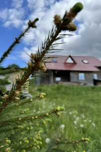 двухэтажный дом, 247 кв. м, сруб. Продажа в Космаче фото 2