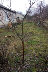 одноповерховий будинок, 96.8 кв. м, цегла. Продаж у Ковбані фото 2
