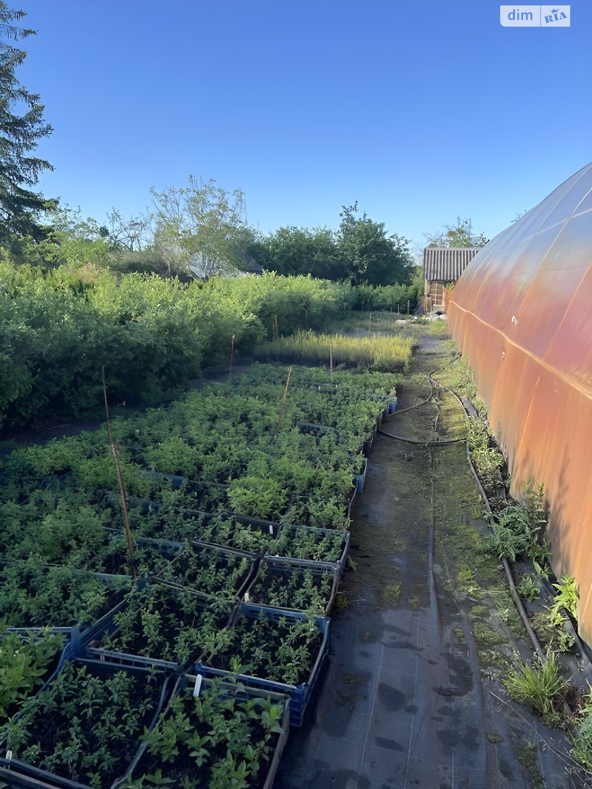 одноповерховий будинок, 40 кв. м, цегла. Продаж у Ковелі фото 1 одноповерховий будинок, 40 кв. м, цегла. Продаж у Ковелі фото 1