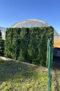 одноповерховий будинок, 40 кв. м, цегла. Продаж у Ковелі фото 2 одноповерховий будинок, 40 кв. м, цегла. Продаж у Ковелі фото 2