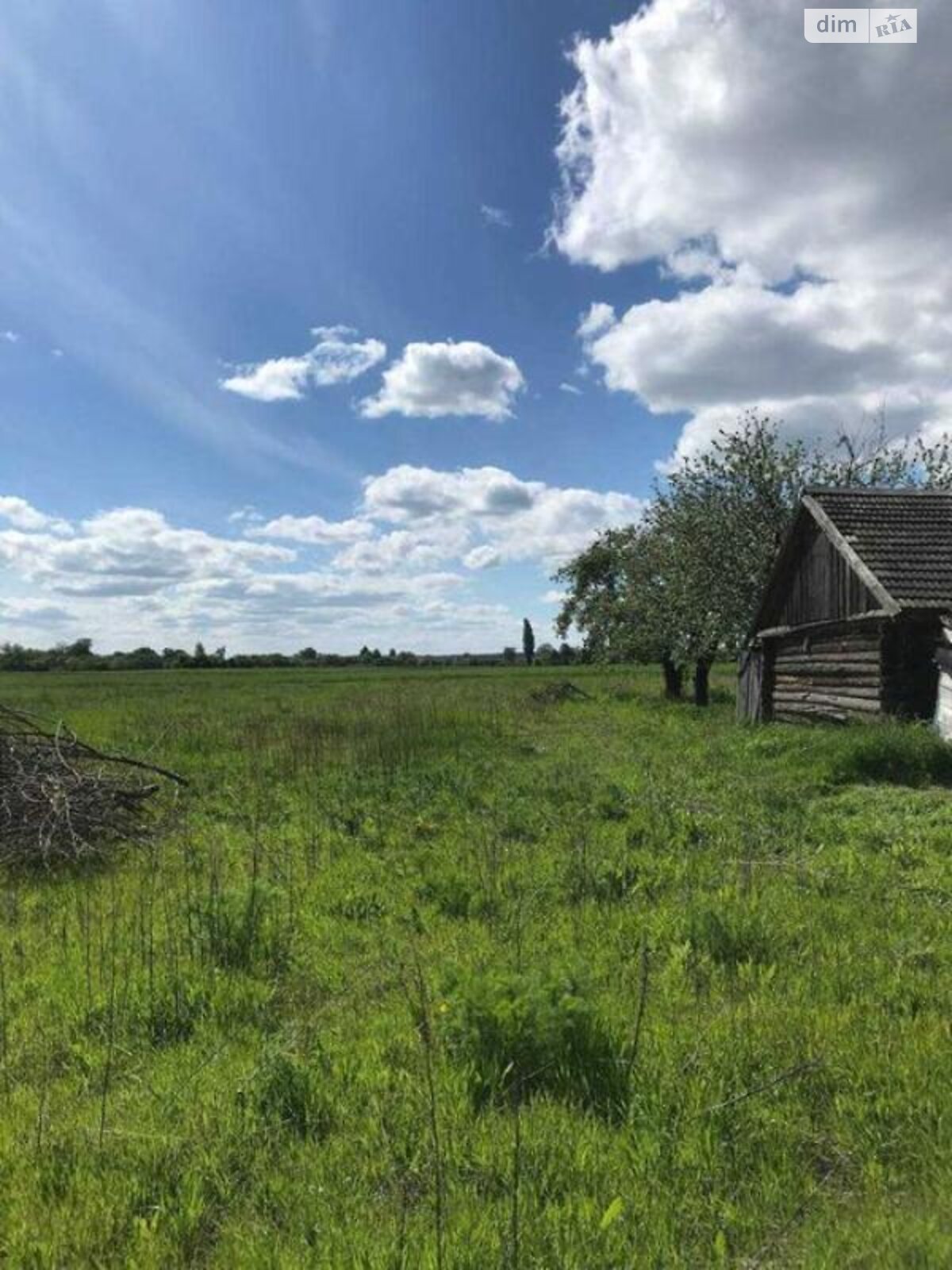 одноповерховий будинок, 92 кв. м, зруб. Продаж у Ковпиті фото 1 одноповерховий будинок, 92 кв. м, зруб. Продаж у Ковпиті фото 1