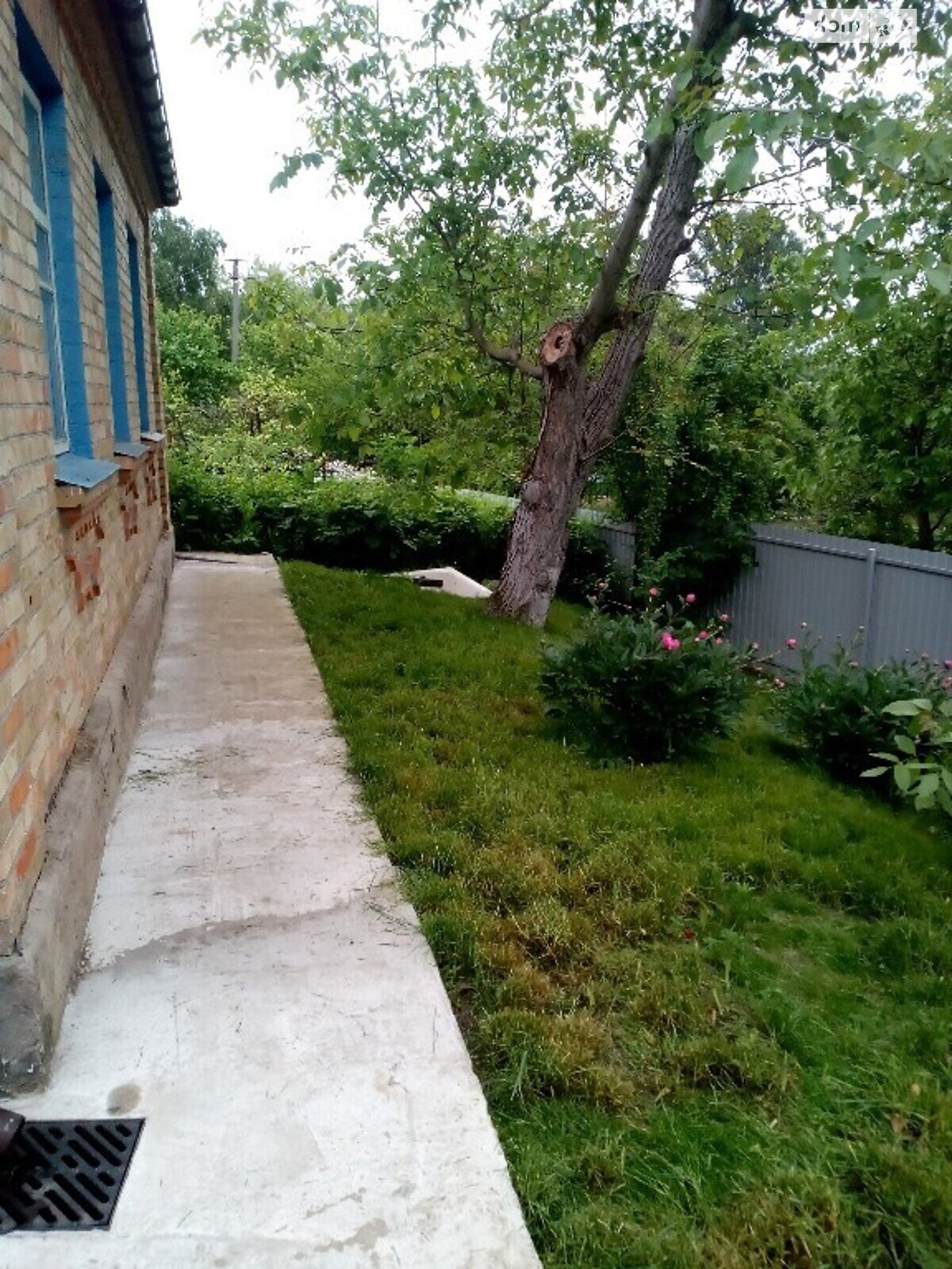 одноповерховий будинок з опаленням, 85 кв. м, цегла. Продаж у Козарівці фото 1 одноповерховий будинок з опаленням, 85 кв. м, цегла. Продаж у Козарівці фото 1