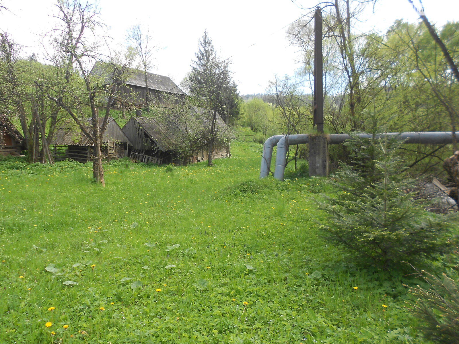 одноповерховий будинок з опаленням, 64.5 кв. м, брус. Продаж у Козьовій фото 1 одноповерховий будинок з опаленням, 64.5 кв. м, брус. Продаж у Козьовій фото 1