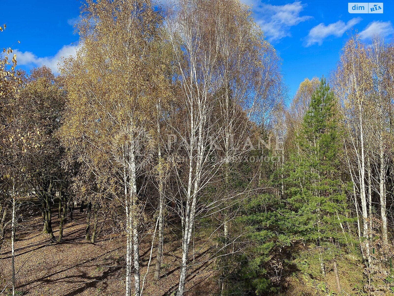 триповерховий будинок, 403.8 кв. м, цегла. Продаж у Козині фото 1 триповерховий будинок, 403.8 кв. м, цегла. Продаж у Козині фото 1