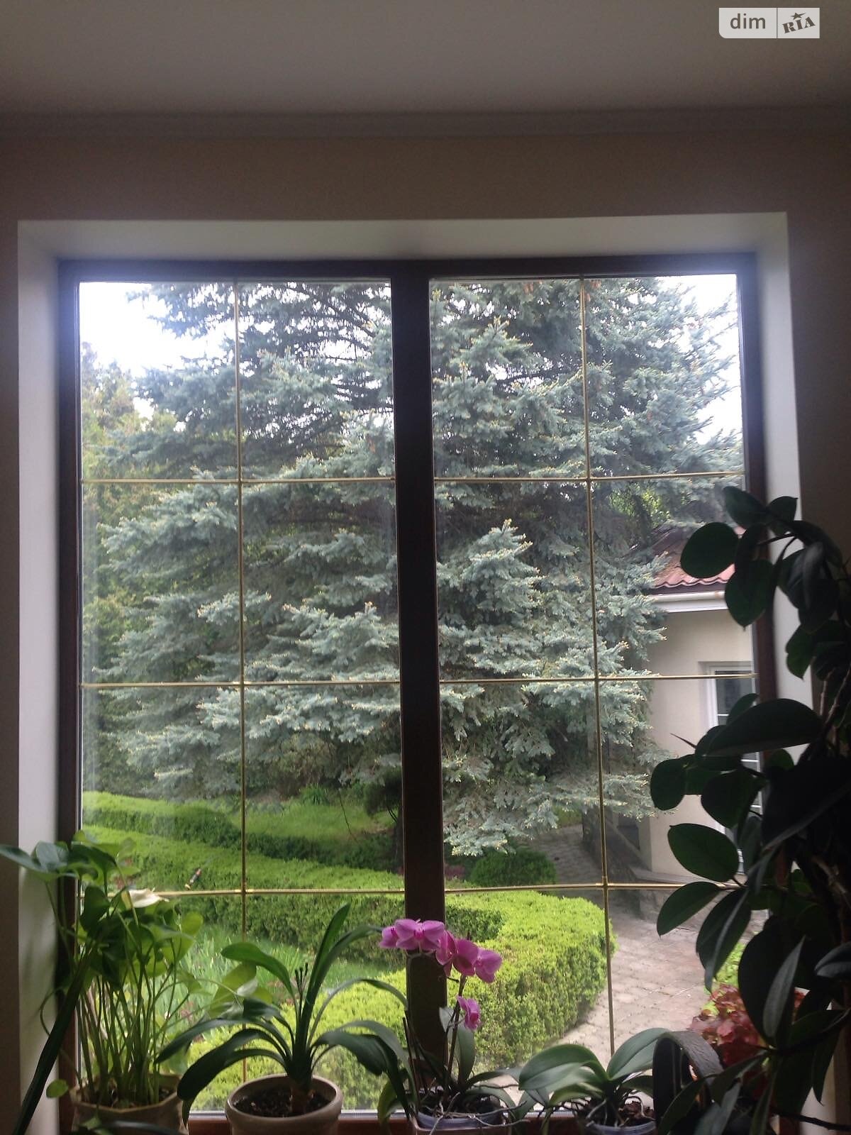 двухэтажный дом с верандой, 497.5 кв. м, кирпич. Продажа в Козине фото 1 двухэтажный дом с верандой, 497.5 кв. м, кирпич. Продажа в Козине фото 1